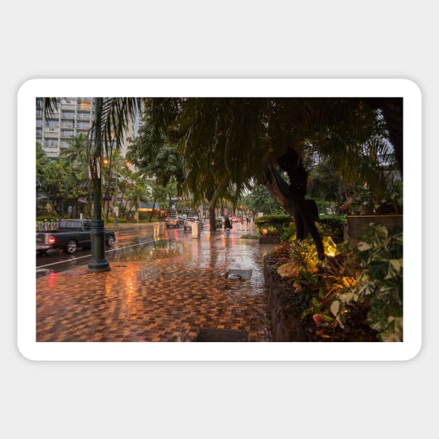 A lonely in rainy day in Honolulu Sticker by KensLensDesigns